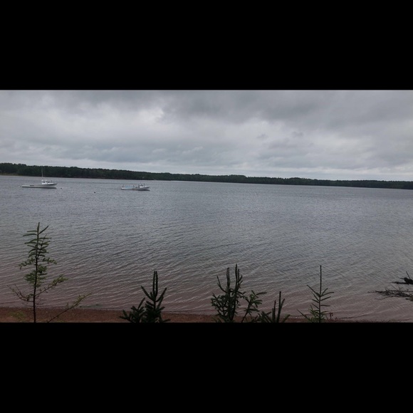 Meet your Posher, Jacklyn - Picture 1 of 1